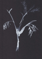 http://www.actionaqua.com/files/gimgs/th-111_glashaus 11.jpg